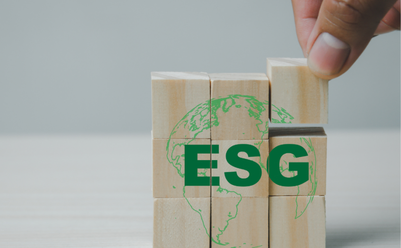 ESG w organizacji
